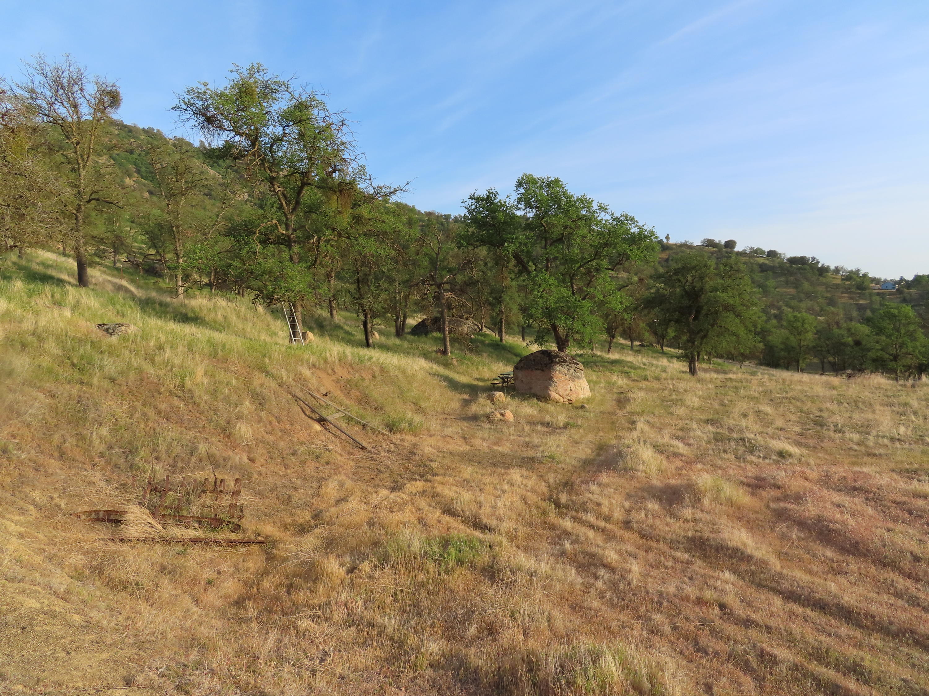 Jack Springs Road Tehachapi, CA 93561 - Photo 9 of 29 IMG_0358
