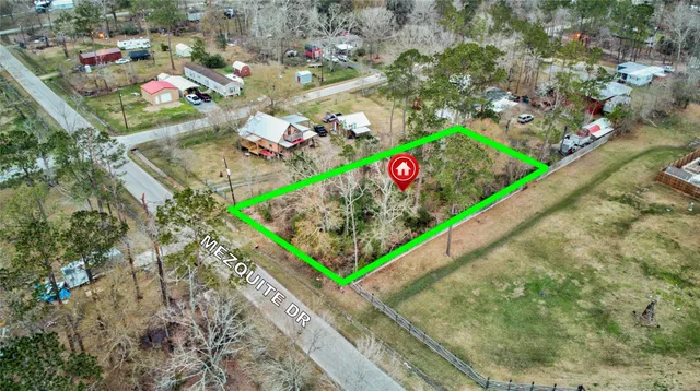 a view of a bunch of flowers