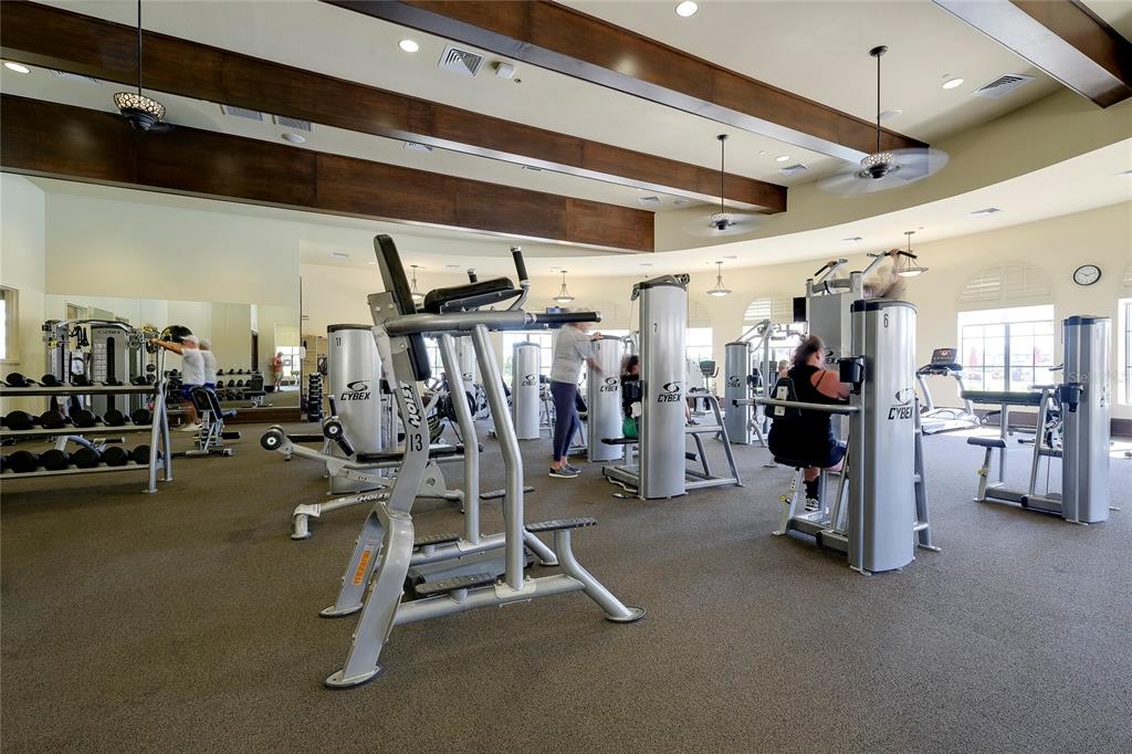 20181 Ragazza Circle, Unit 101 Venice, FL 34293 - Photo 53 of 64 Gallery Image 53