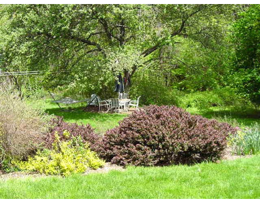 10 Wedgewood Road Sturbridge, MA 01566 - Photo 12 of 14 a view of backyard with green space