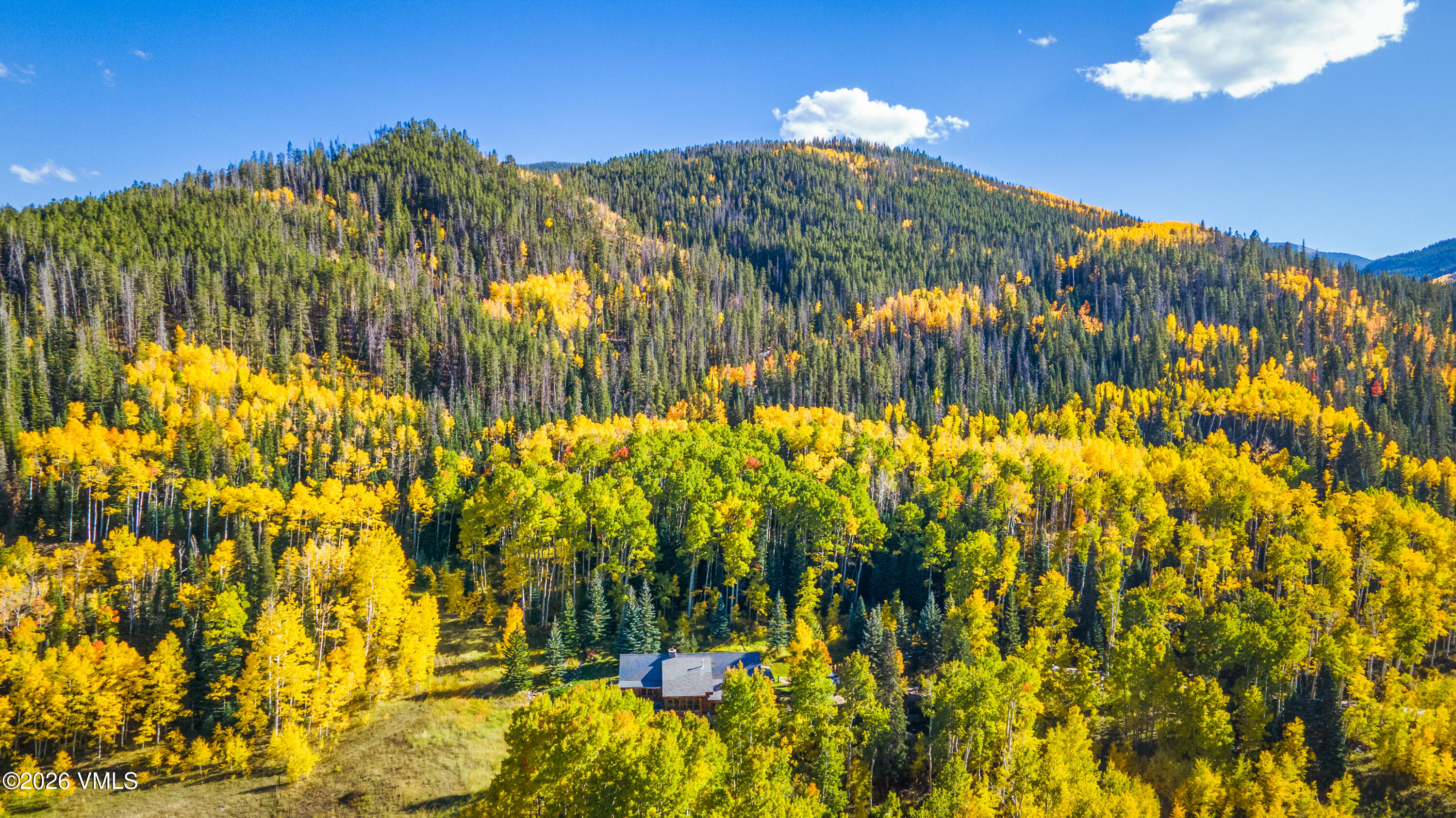 4024 West Lake Creek Road Edwards, CO 81632 - Photo 11 of 25 a view of garden