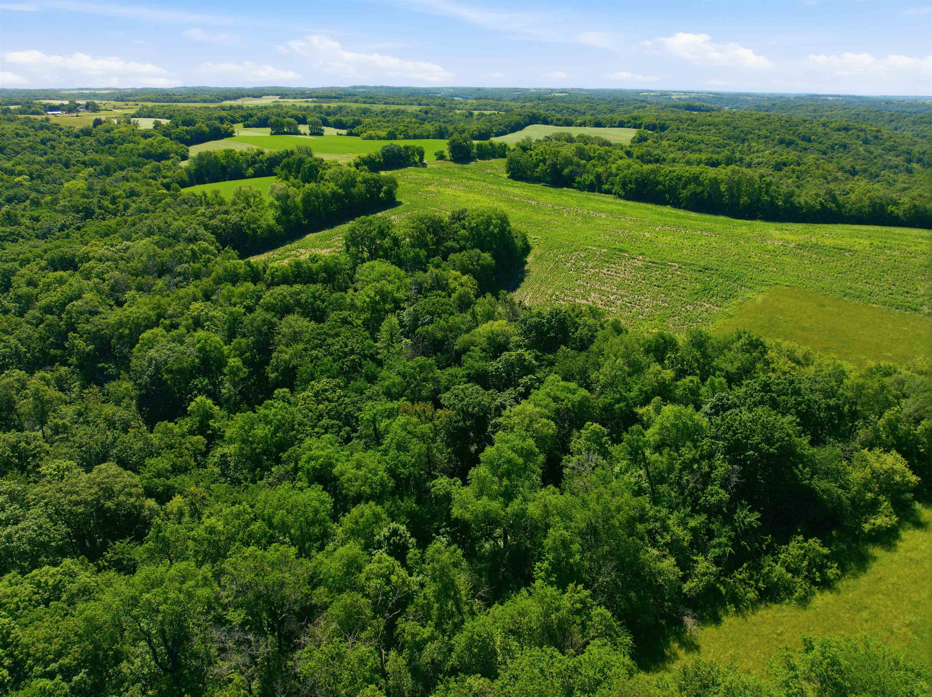 100-ac Dunlap Hollow Road Mazomanie, WI 53560 - Photo 20 of 30
