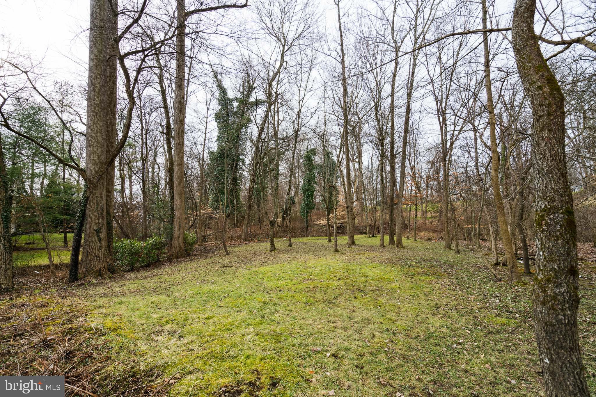 208 Comrie Drive Villanova, PA 19085 - Photo 66 of 72