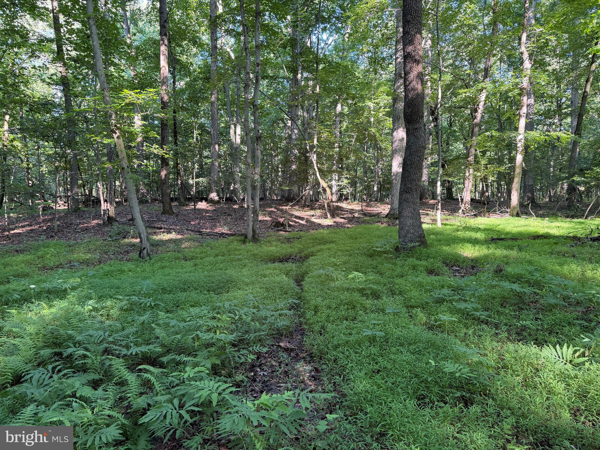 0 Rock Springs Road Conowingo, MD 21918 - Photo 58 of 79
