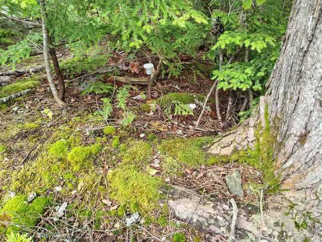 $349,000 | 114 Plunkett Pond Road, Benedicta, ME 04733