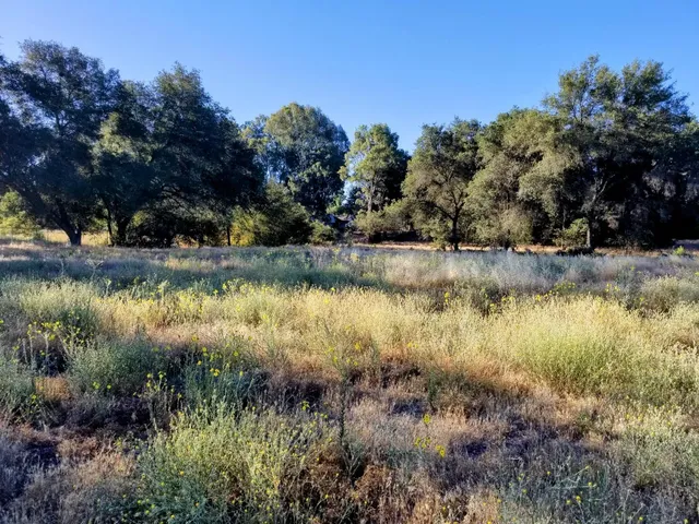 a view of a lake with houses in the background