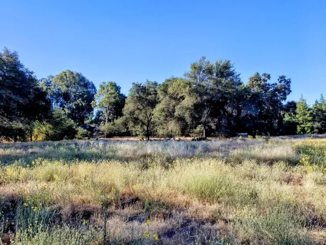 a view of a lake view