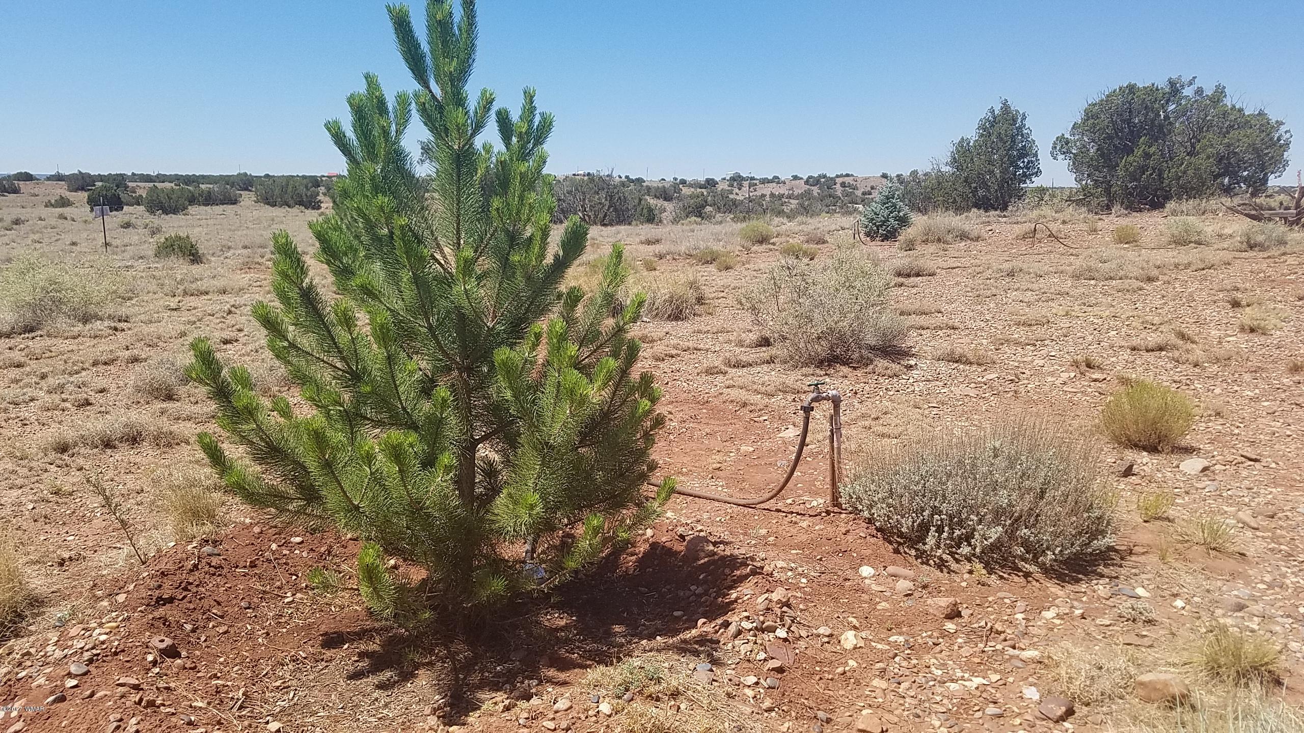 9554 Butler Road Snowflake, AZ 85937 - Photo 13 of 33