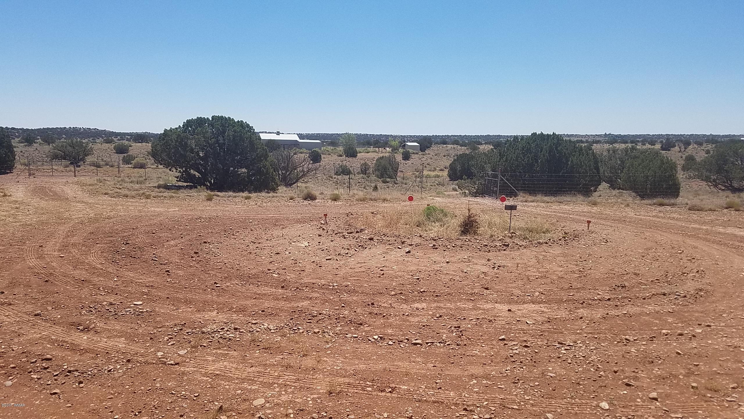 9554 Butler Road Snowflake, AZ 85937 - Photo 14 of 33
