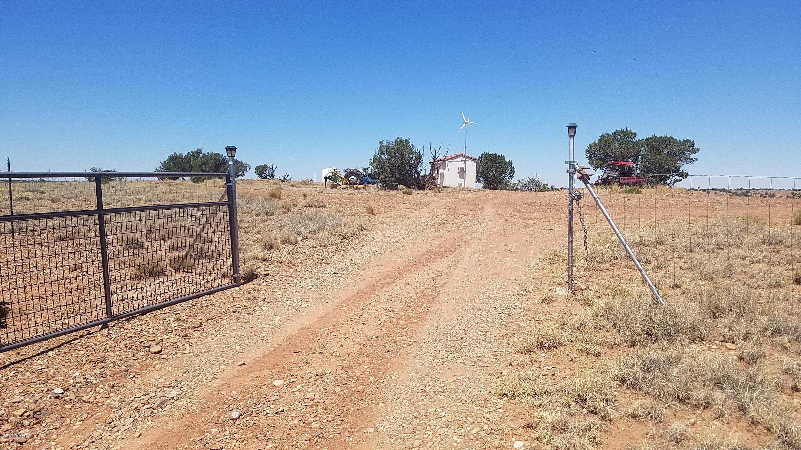 9554 Butler Road Snowflake, AZ 85937 - Photo 17 of 33