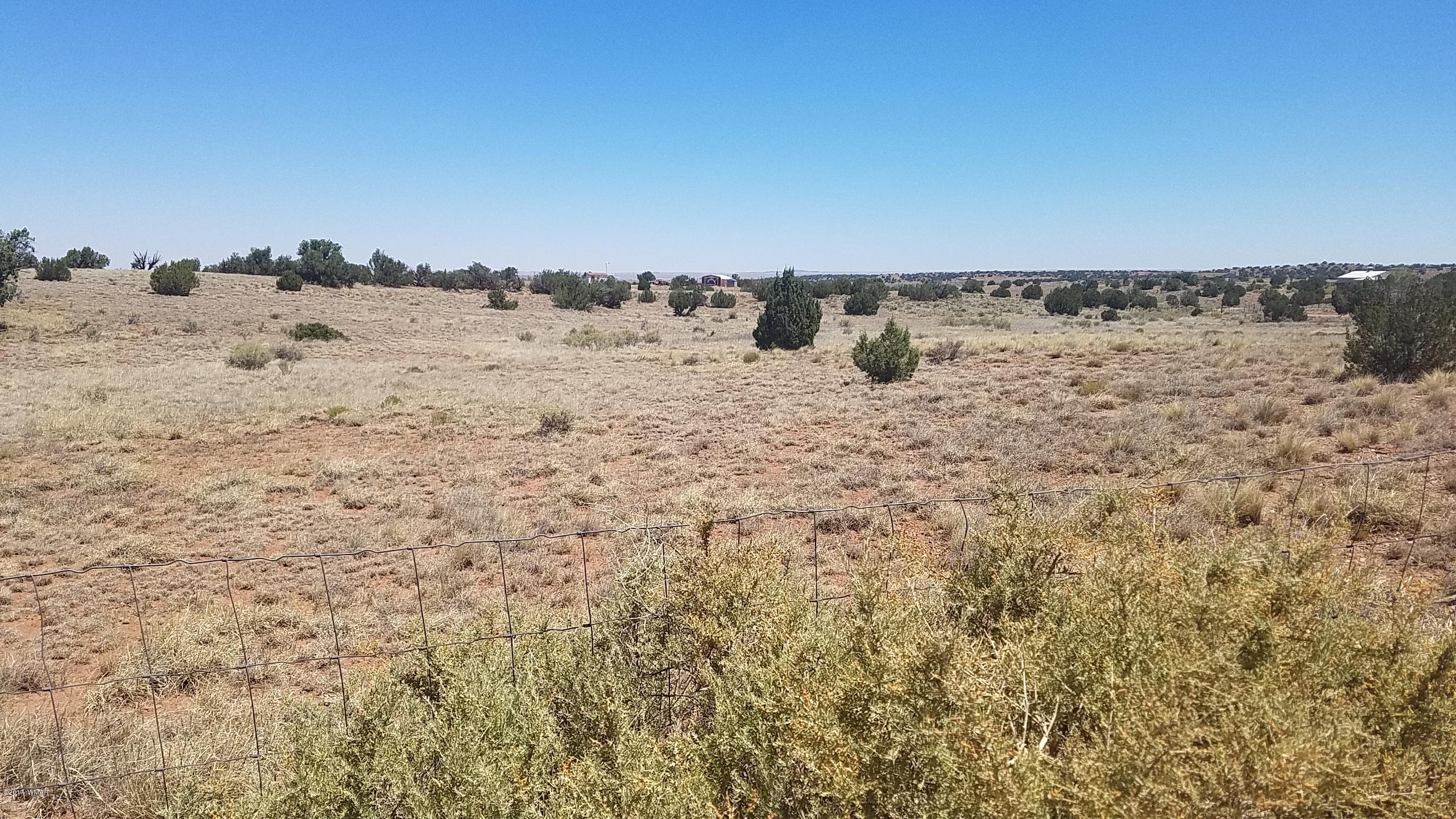 9554 Butler Road Snowflake, AZ 85937 - Photo 18 of 33