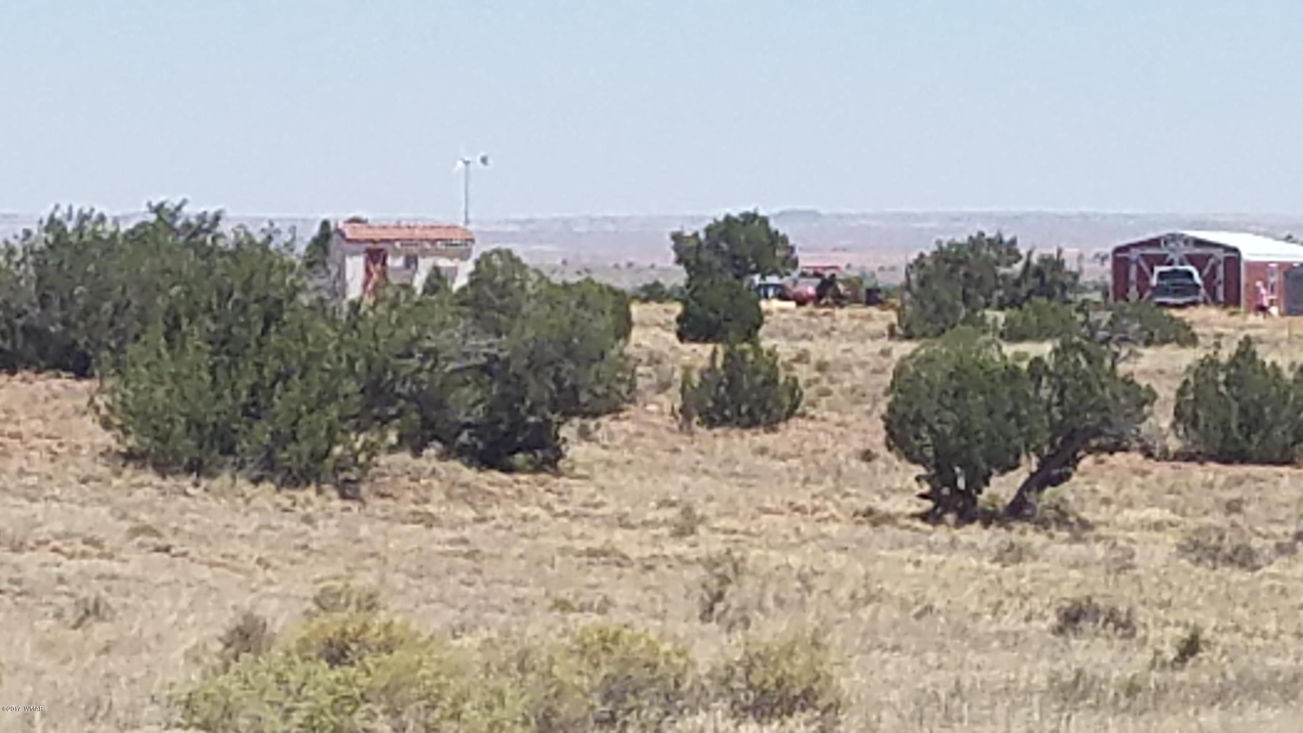 9554 Butler Road Snowflake, AZ 85937 - Photo 19 of 33