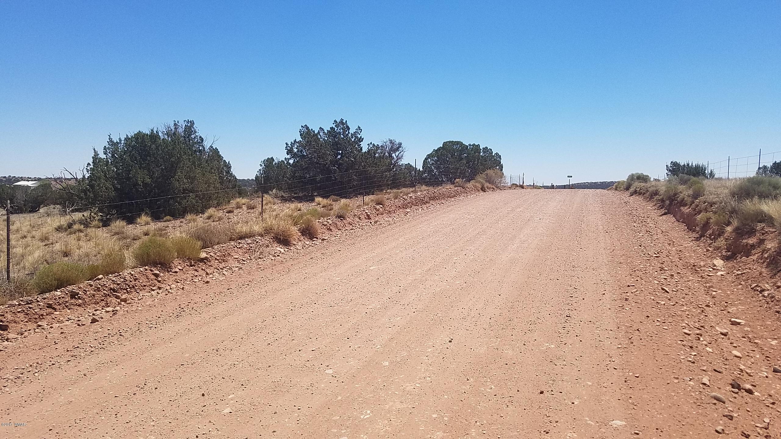 9554 Butler Road Snowflake, AZ 85937 - Photo 21 of 33