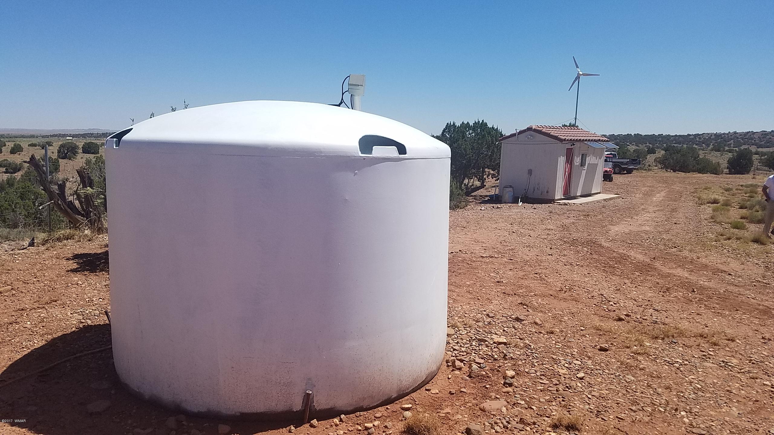 9554 Butler Road Snowflake, AZ 85937 - Photo 5 of 33
