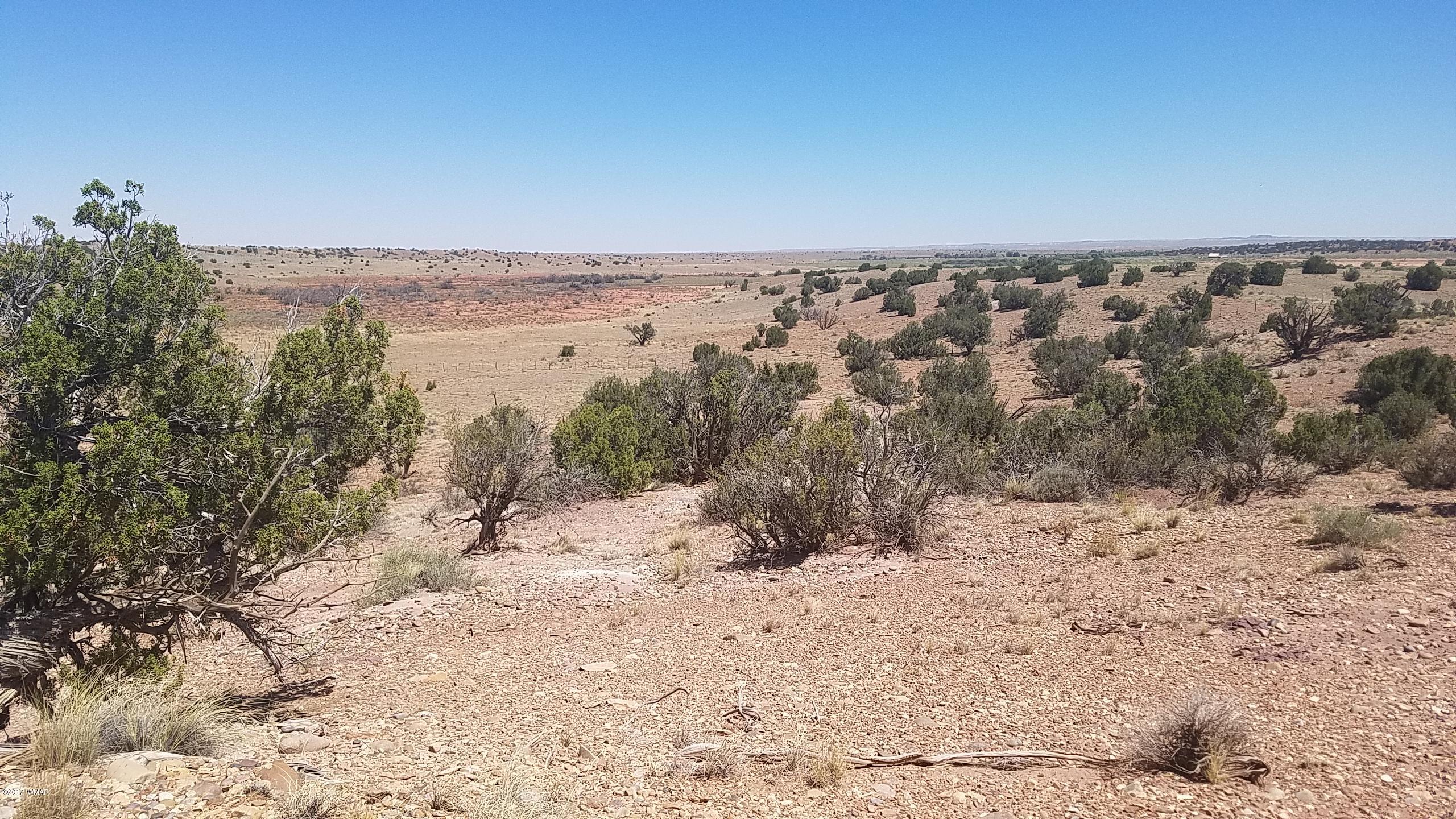 9554 Butler Road Snowflake, AZ 85937 - Photo 7 of 33