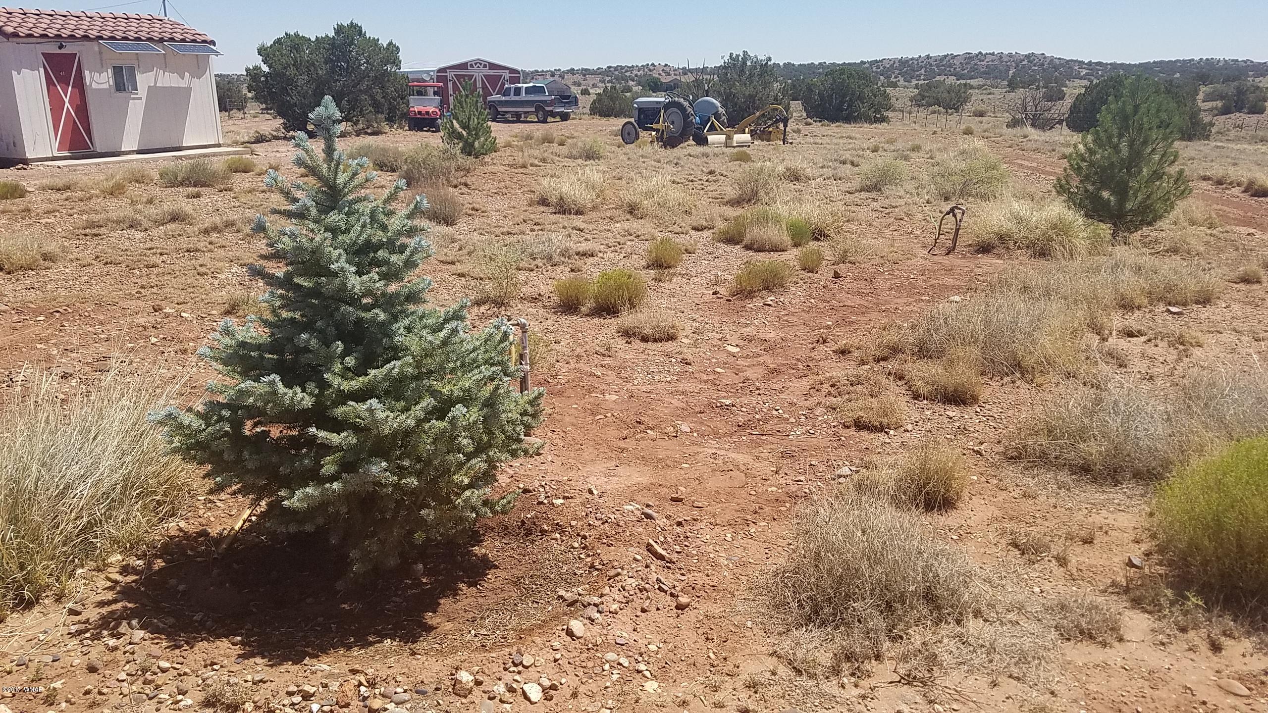 9554 Butler Road Snowflake, AZ 85937 - Photo 8 of 33