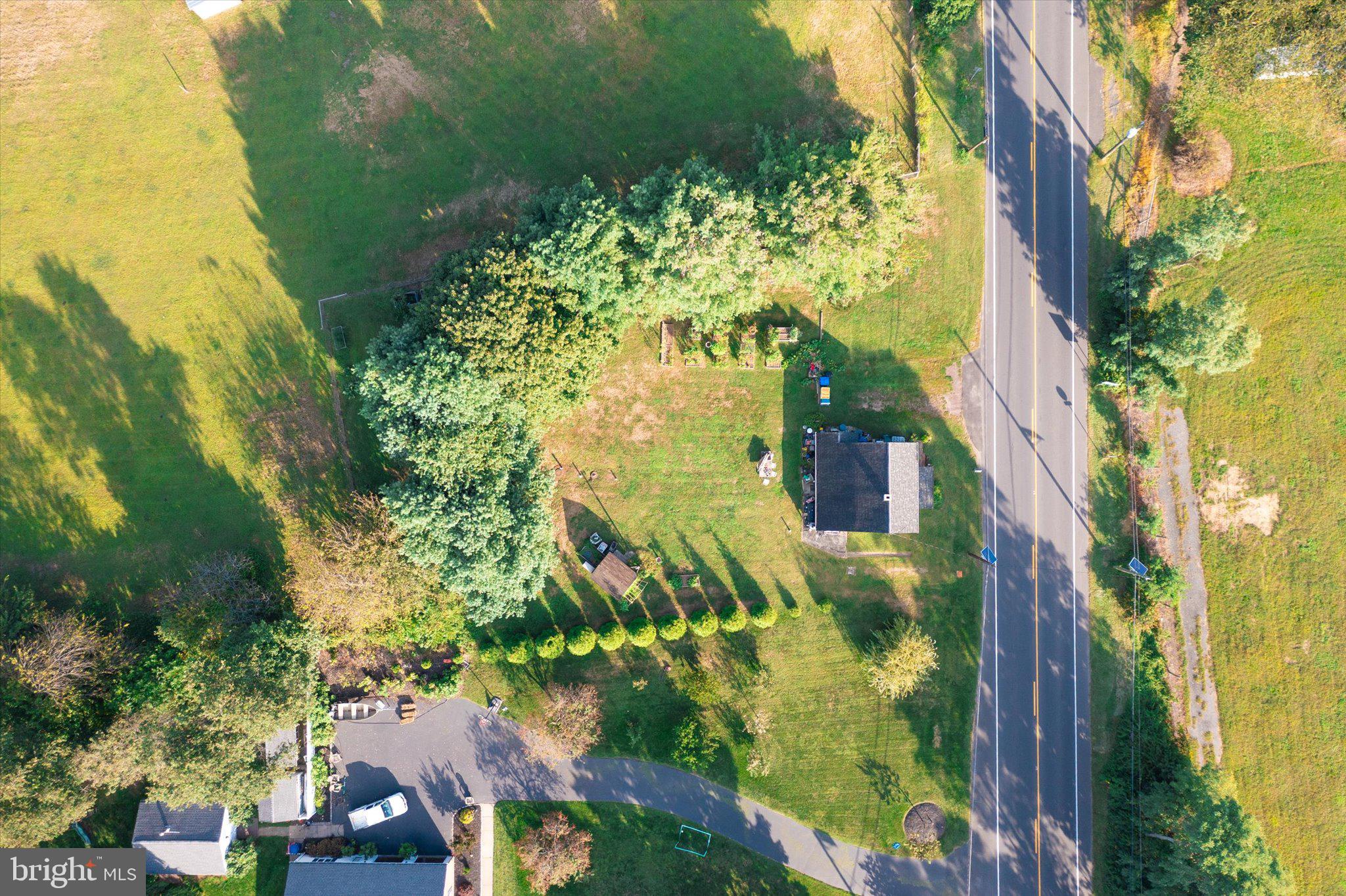 537 Arneytown-chesterfield Road Chesterfield, NJ 08515 - Photo 57 of 87 a view of a large yard with plants and large trees