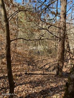 Walker Ford Road Maynardville, TN 37807 - Photo 1 of 17 IMG959025