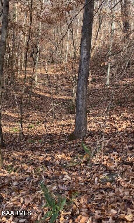 Walker Ford Road Maynardville, TN 37807 - Photo 13 of 17 IMG958370(1)