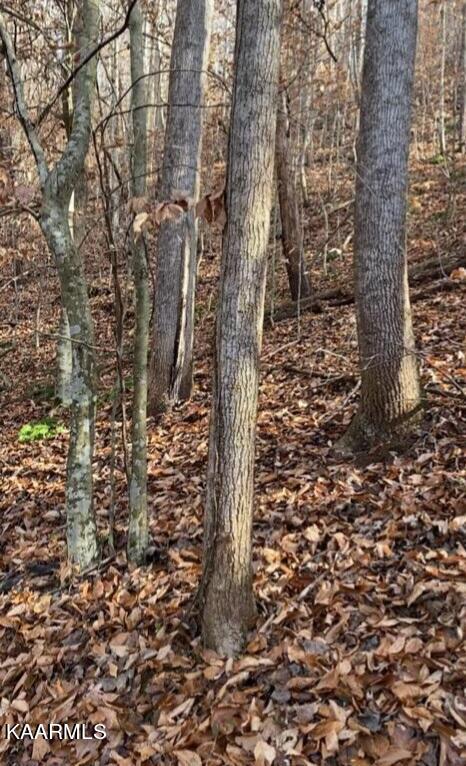 Walker Ford Road Maynardville, TN 37807 - Photo 14 of 17 IMG958371(1)