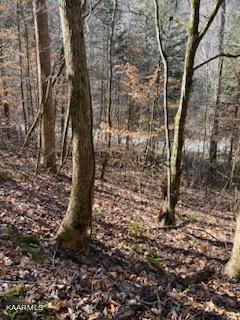 Walker Ford Road Maynardville, TN 37807 - Photo 16 of 17 IMG959024