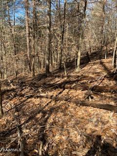 Walker Ford Road Maynardville, TN 37807 - Photo 17 of 17 IMG959030