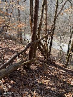 Walker Ford Road Maynardville, TN 37807 - Photo 2 of 17 IMG959028