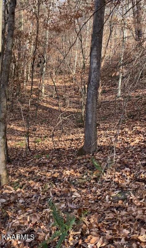 Walker Ford Road Maynardville, TN 37807 - Photo 4 of 17 IMG958372