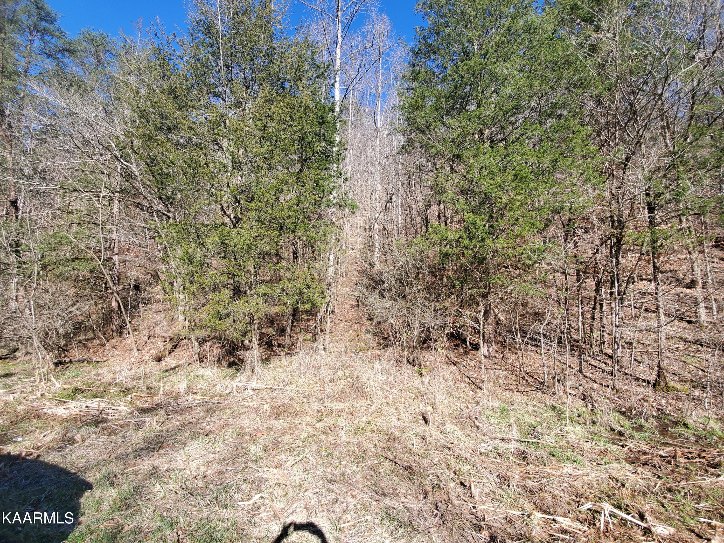 Walker Ford Road Maynardville, TN 37807 - Photo 5 of 17 20220314_164354