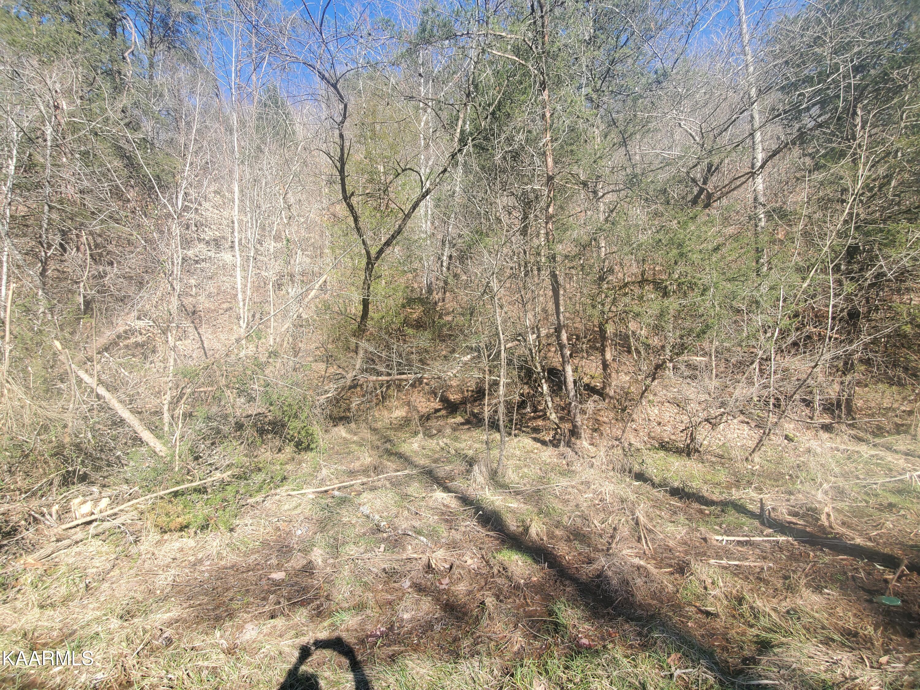 Walker Ford Road Maynardville, TN 37807 - Photo 9 of 17 20220314_164321