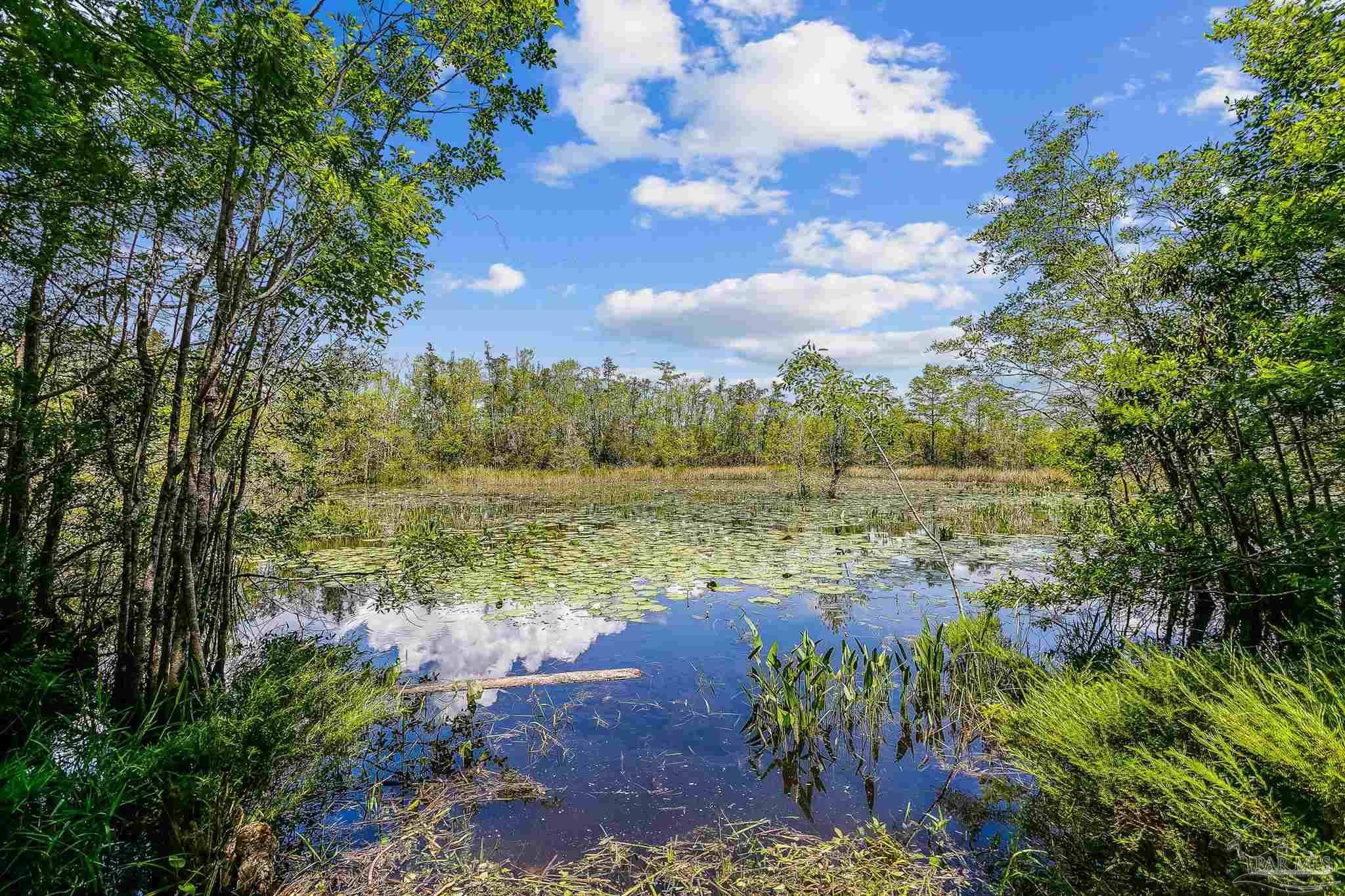 7384 Johnson Road Milton, FL 32583 - Photo 36 of 44 Gallery Image 36