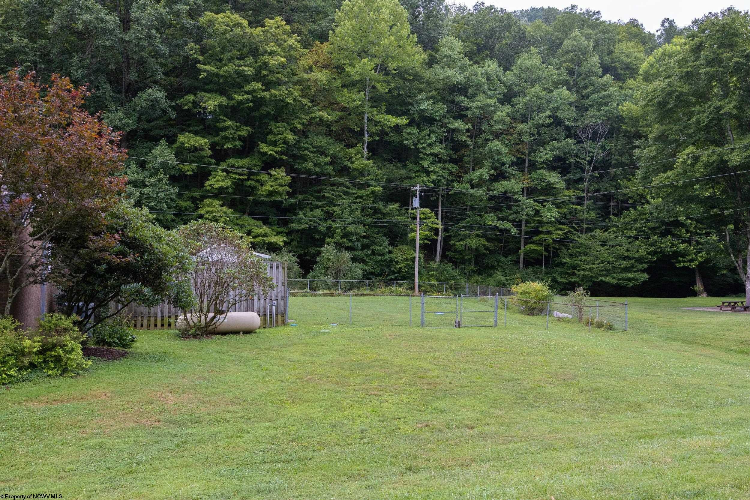 4217 Chapel Road Gassaway, WV 26624 - Photo 16 of 44 Gallery Image 16
