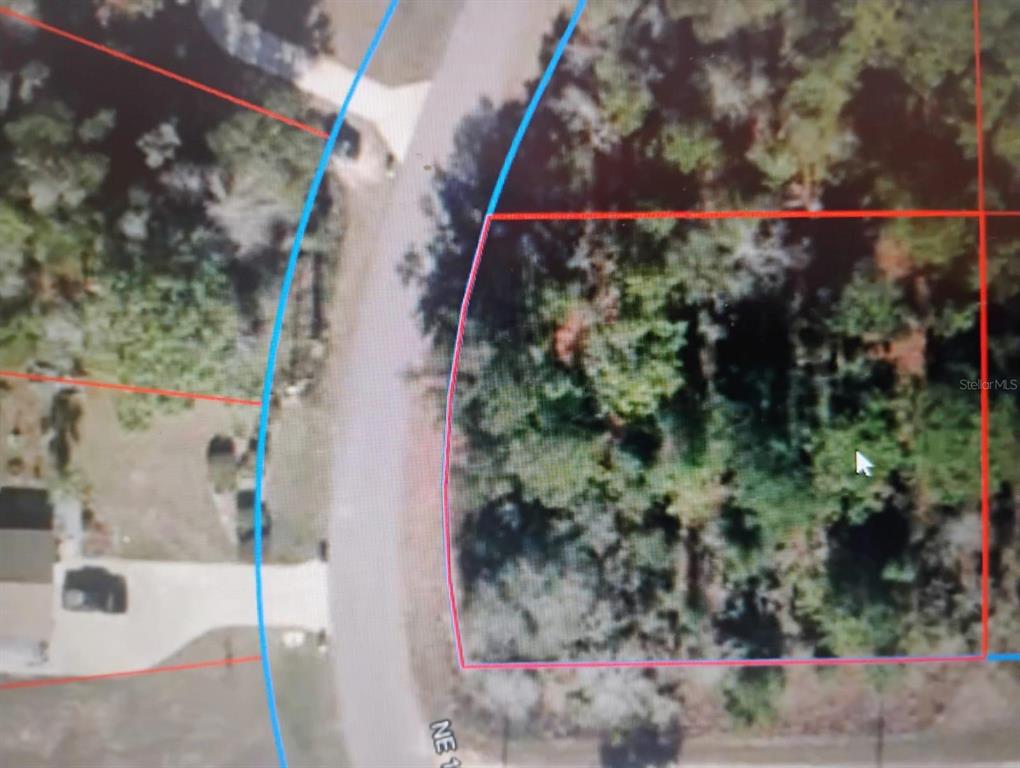 Northeast 155th Court Williston, FL 32696 - Photo 4 of 5