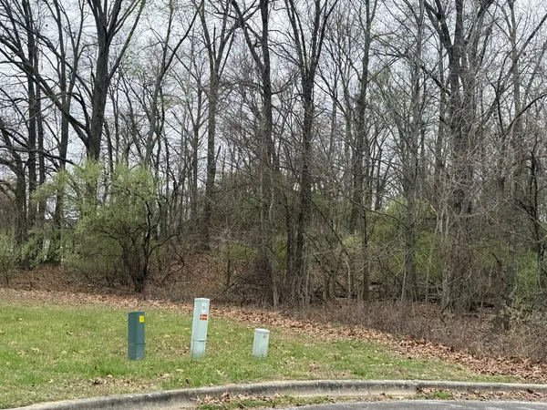 $95,000 | Tbd Kokopelli Drive, Marion, IL 62959