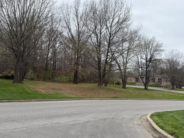 a view of a park