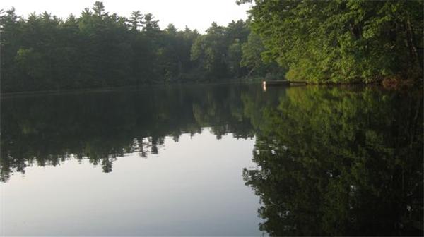 49 Glenwood Road Andover, MA 01810 - Photo 5 of 24 Gallery Image 5