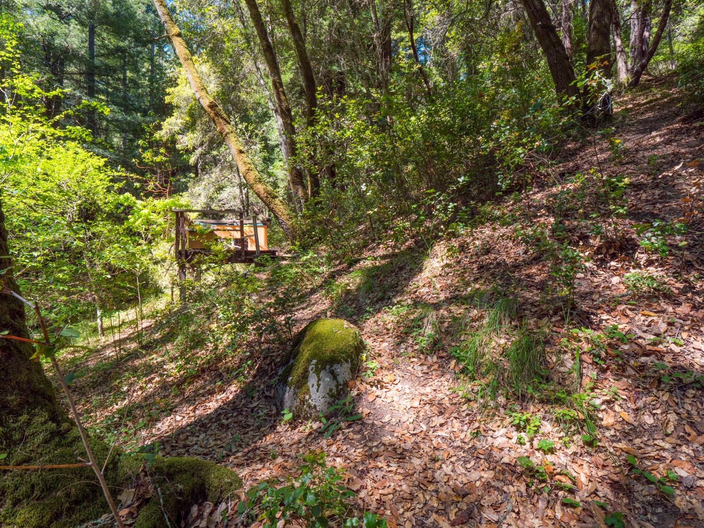 13095 Lompico Road Felton, CA 95018 - Photo 56 of 58 Gallery Image 56