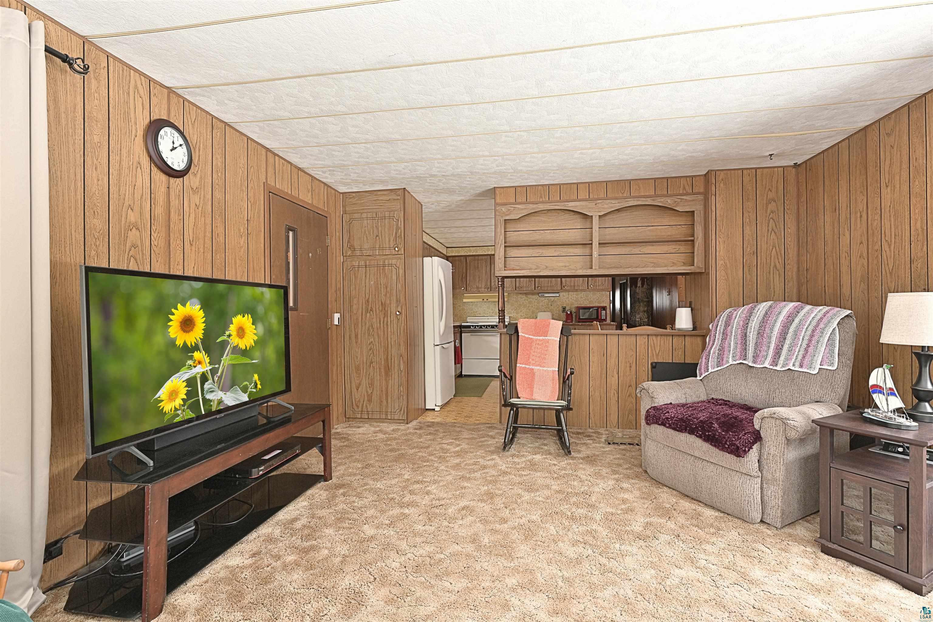 6800 Salveson Road Finland, MN 55603 - Photo 10 of 20 Sitting room featuring wooden walls and light carpet