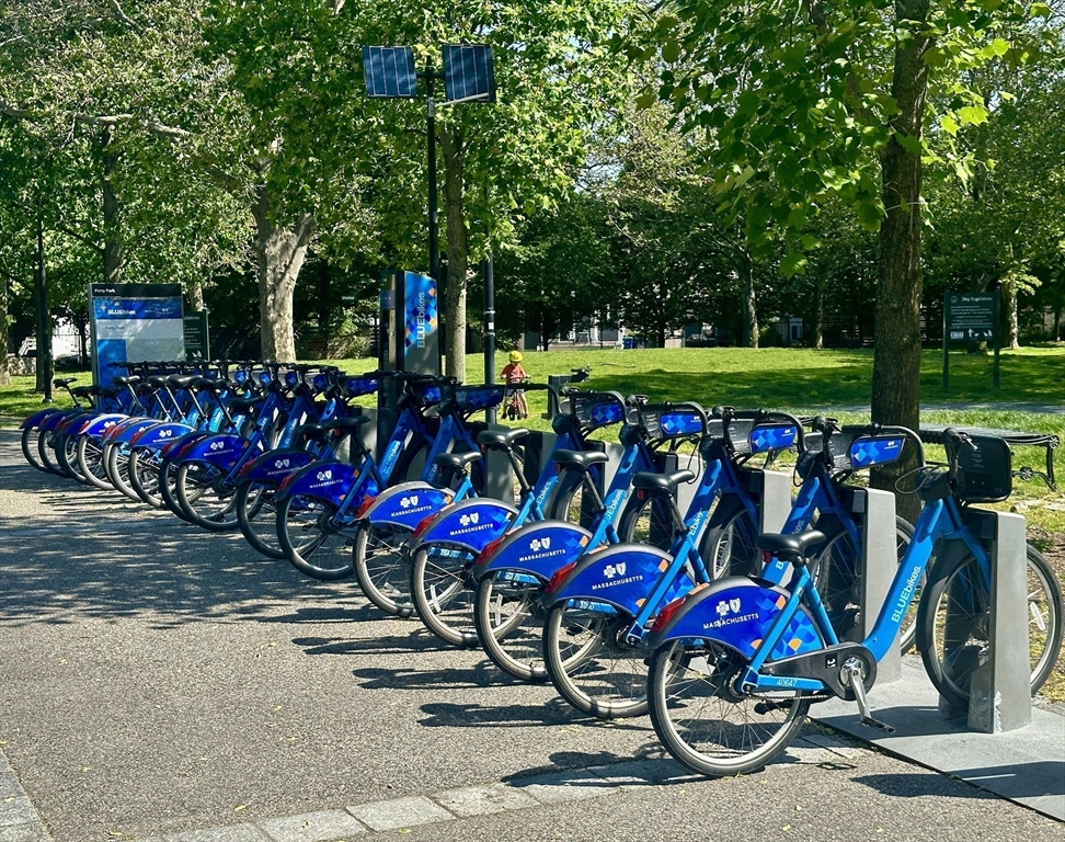 347 Washington Street Somerville, MA 02143 - Photo 28 of 38