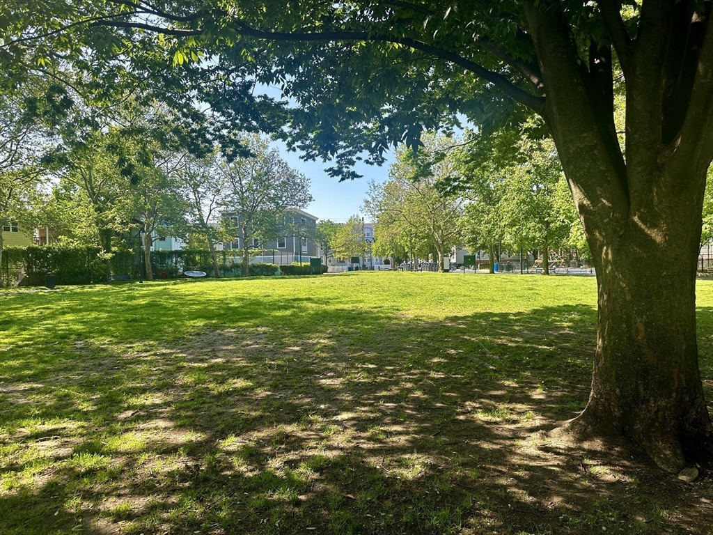 347 Washington Street Somerville, MA 02143 - Photo 29 of 38