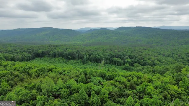 a view of a lush green hillside and a houses