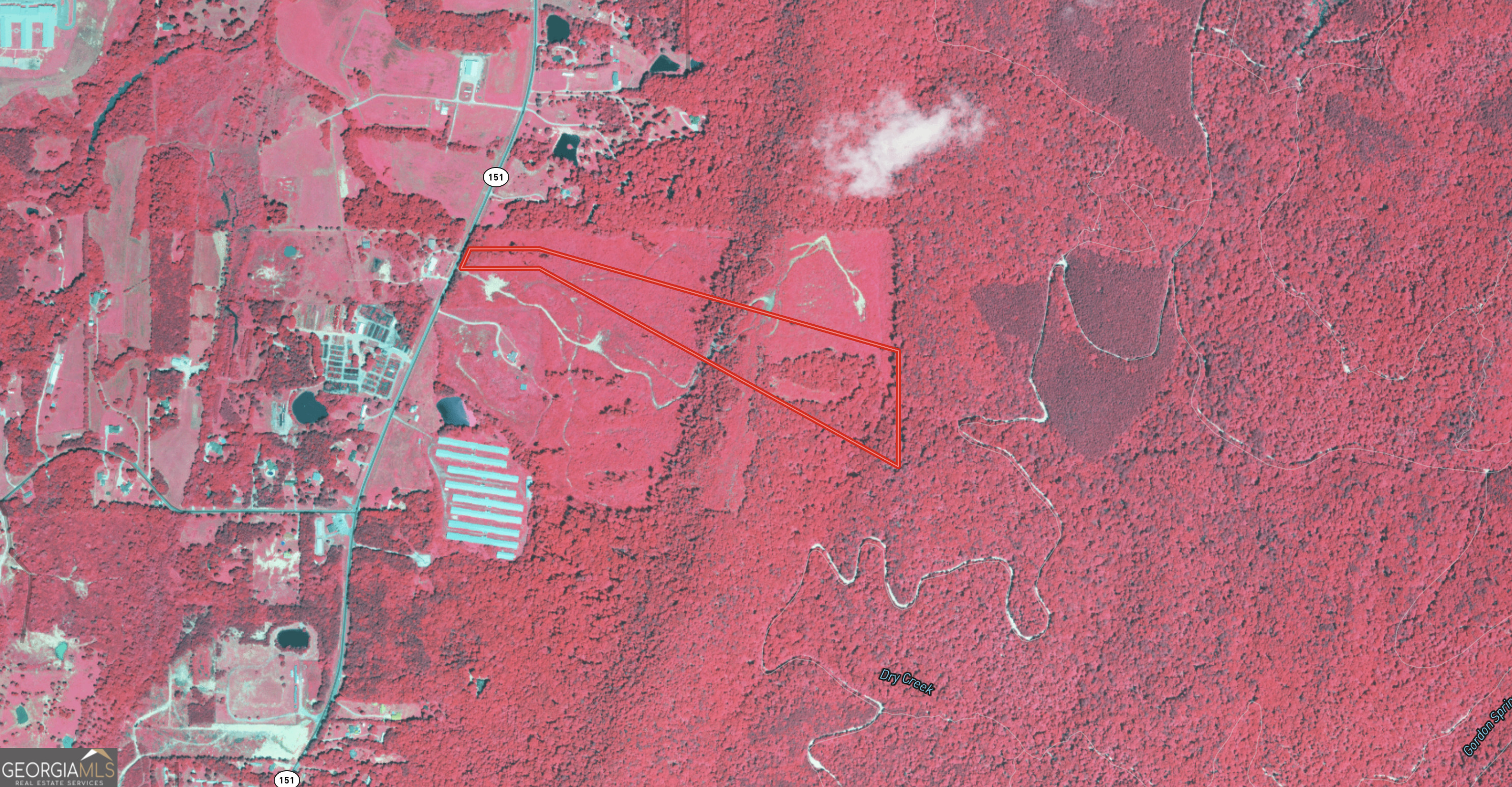 0 Hwy 151 Ringgold, GA 30736 - Photo 14 of 19