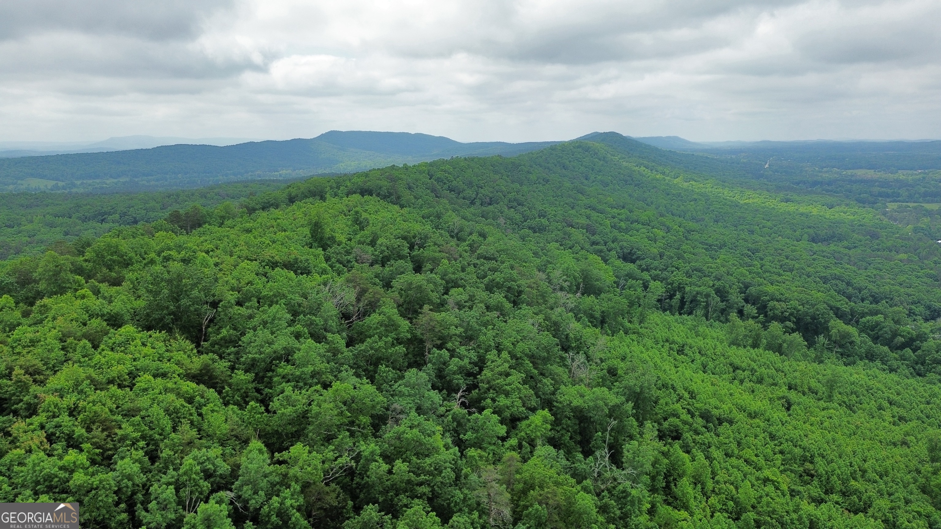 0 Hwy 151 Ringgold, GA 30736 - Photo 4 of 19 a view of a mountain in the distance in a field