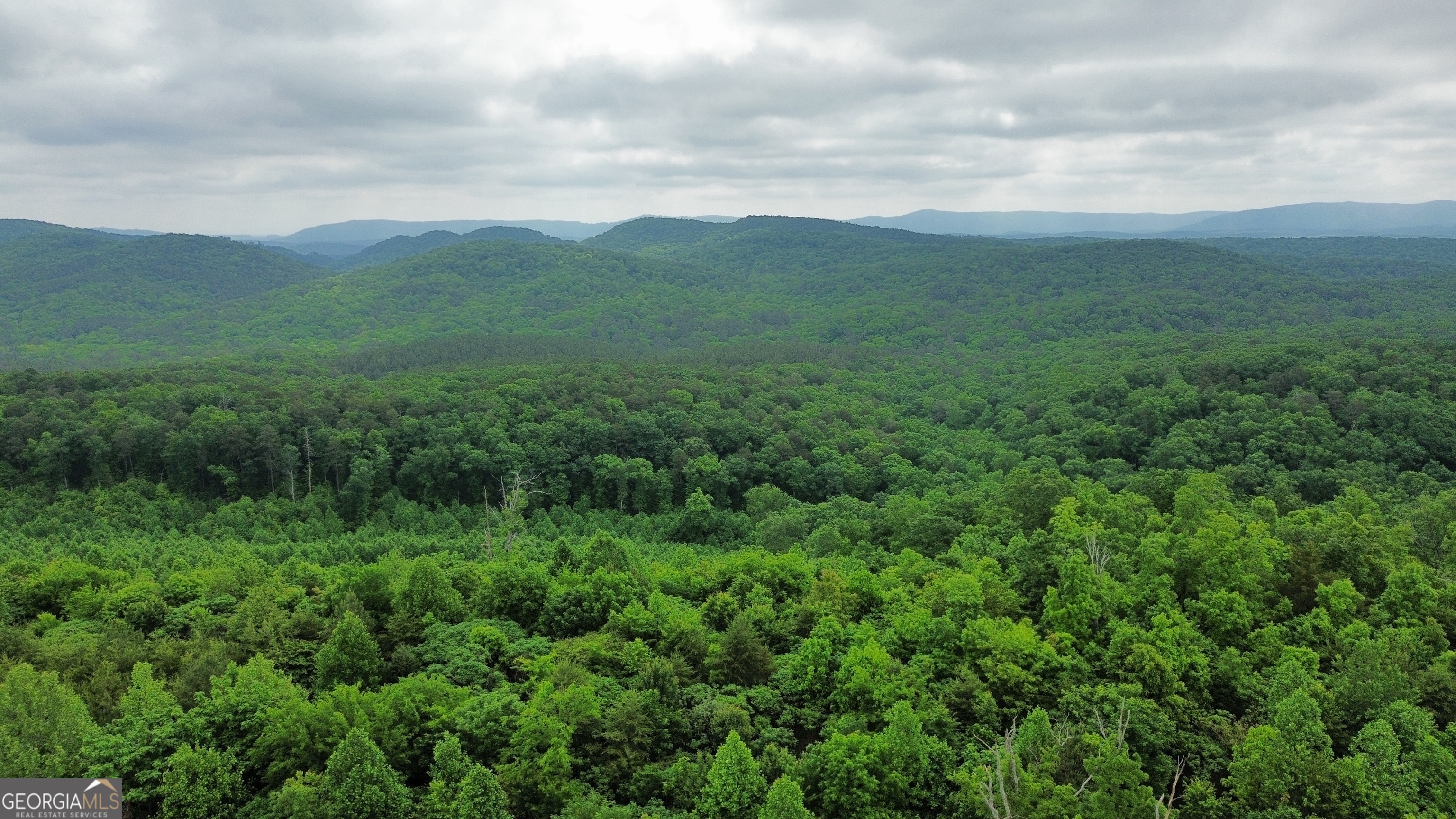 0 Hwy 151 Ringgold, GA 30736 - Photo 5 of 19 a view of a green field with lots of bushes