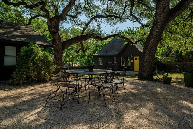 a view of a tree in a yard