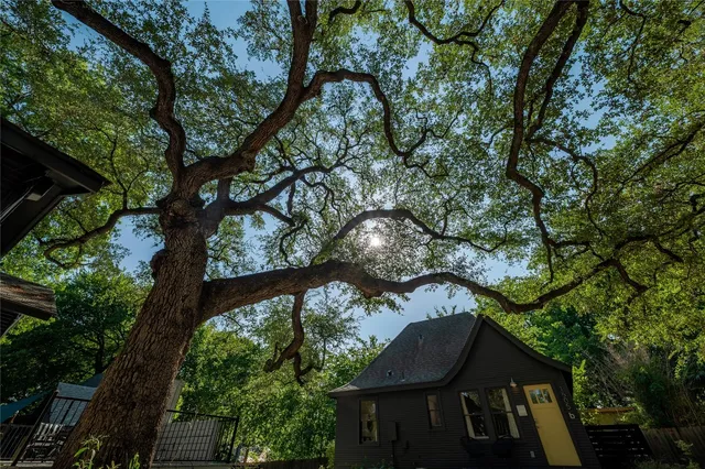 a backyard of a house with lots of green space