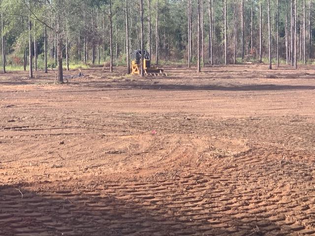 0 County Road Headland, AL 36345 - Photo 6 of 7