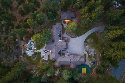 a view of a park with large trees