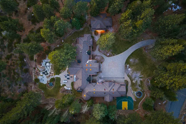 a view of a park with large trees