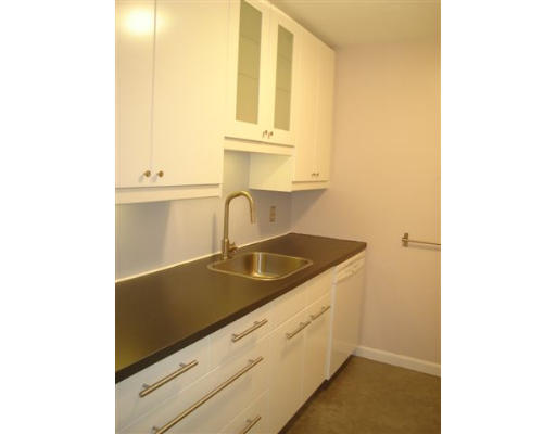 8 Chestnut Street, Unit 8 Cambridge, MA 02139 - Photo 4 of 11 a kitchen with a sink and a window